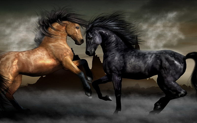 Horse, 3D, Stallions, horses, other, HD wallpaper