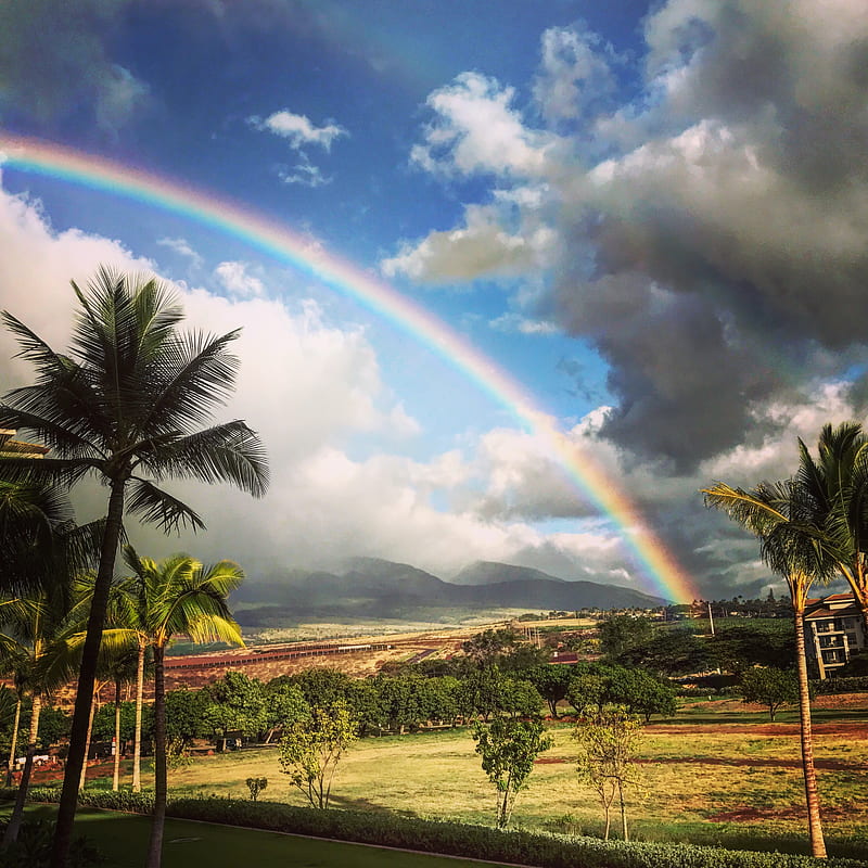 Hawaiian Rainbow, rainbows, view, hawaii, HD phone wallpaper