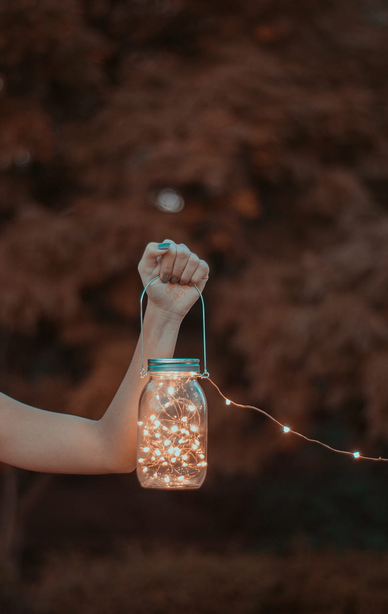 person holding mason jar with string lights, HD phone wallpaper