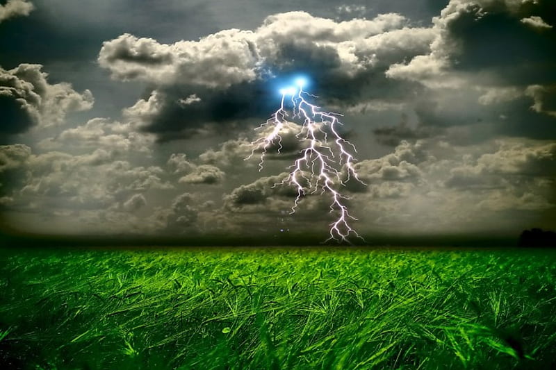 Lightning, green, grass, wind, nature, clouds, storm, field, HD wallpaper