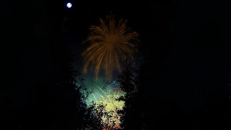 fireworks, salute, night, dark, art, HD wallpaper