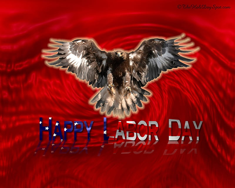 Labor Day Eagle, red, labor day, eagle, white, blue, HD wallpaper