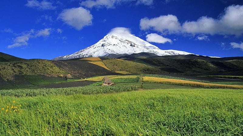 Magnificent mountain landscape, mountain, fields, clouds, crops, HD ...