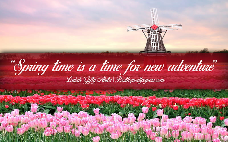 Spring time is a time for new adventure, Lailah Gifty Akita, calligraphic text, quotes about spring, Lailah Gifty Akita quotes, inspiration, spring background, quotes about adventure, HD wallpaper