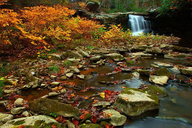 Stone fall. Водопад из осенних листьев. Autumn Falls фото. Autumn Falls фото горячее. Фото самодельная водопад осень.