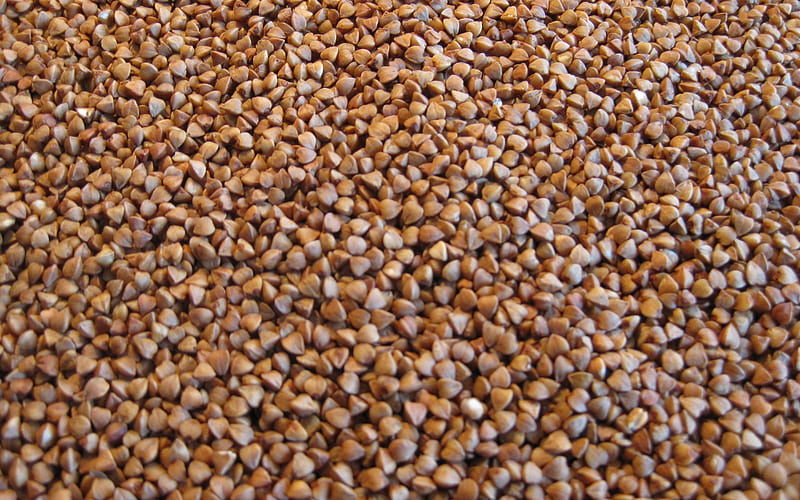 buckwheat, close-up, buckwheat textures, cereals, food textures, macro, groats textures, buckwheat backgrounds, HD wallpaper