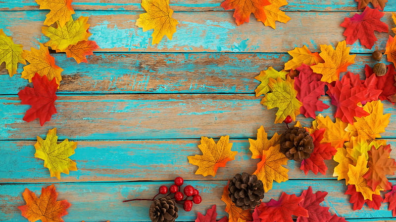 Red Yellow Autumn Leaves On Blue Wooden Board Background Nature, HD ...