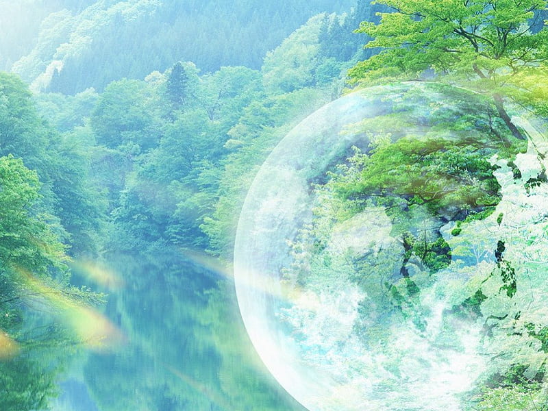 Forest and globe, dreamy forest, globe, nature, forests, green, HD wallpaper