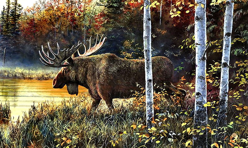 Moose in Birches , art, moose, birches, bonito, birch trees, illustration, artwork, animal, painting, wildlife, HD wallpaper