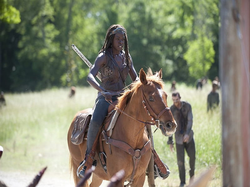 Michonne, The Walking Dead, Entertainment, TV series, HD wallpaper