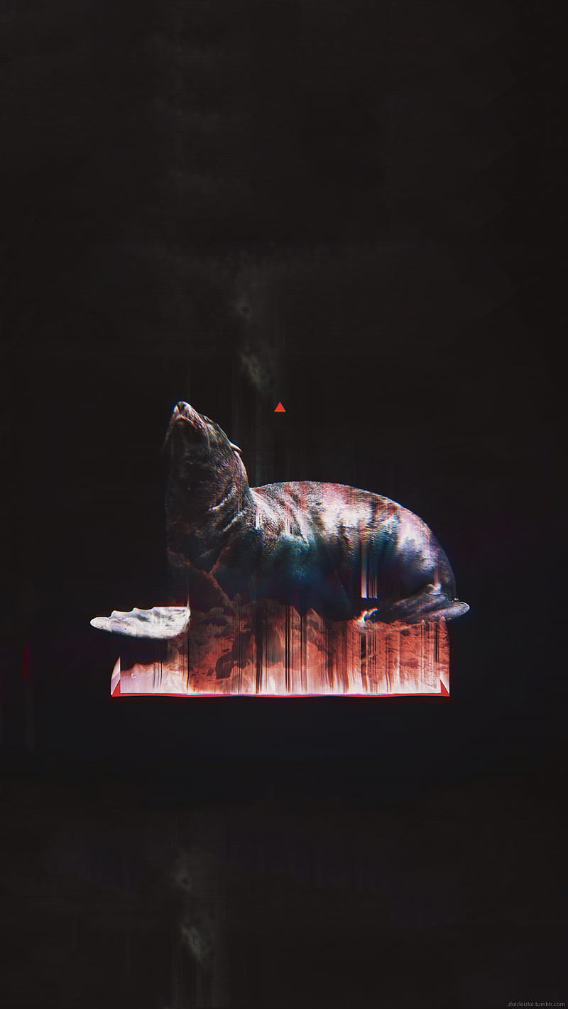 glitch art, abstract, black, animals, seals, HD phone wallpaper