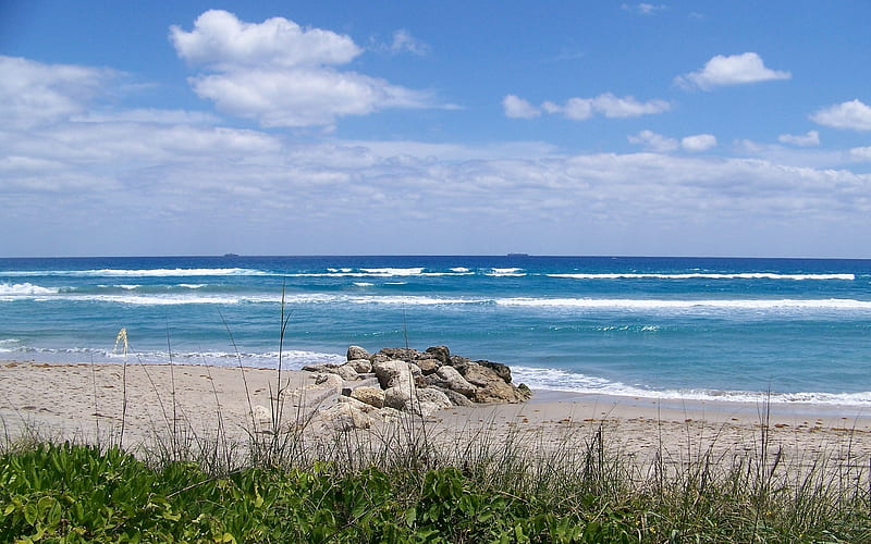 West Palm Beach, beach, stones, grass, nature, sea, HD wallpaper