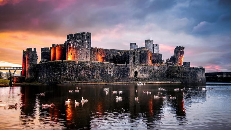 castle surrounded by a lake at sunset, bridge, ducks, ruins, sunset, castle, lake, HD wallpaper