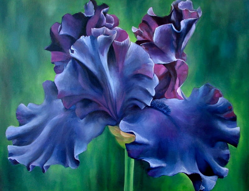 Iris azul, azul, flor, iris, pintura, Fondo de pantalla HD | Peakpx
