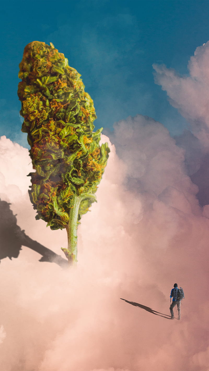 climbing high, 420, cannabis, clouds, sky, surrealism, HD phone wallpaper