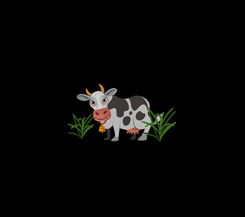 Happy Cow, animal, HD wallpaper
