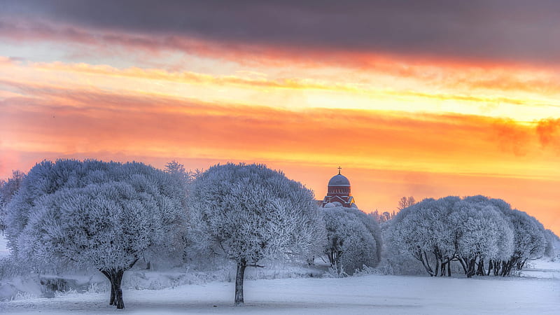 Landscape Of Church And Frost Trees During Sunset Winter, HD wallpaper