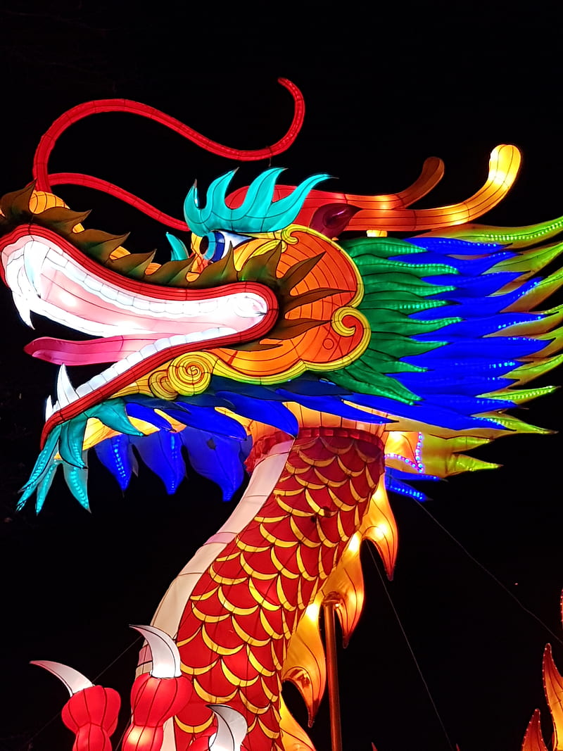 Chinese dragon, abstract, blue, lanterns, light, zoo, HD phone wallpaper