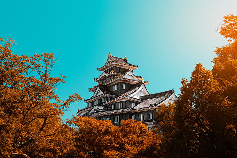 pagoda, building, architecture, trees, autumn, HD wallpaper