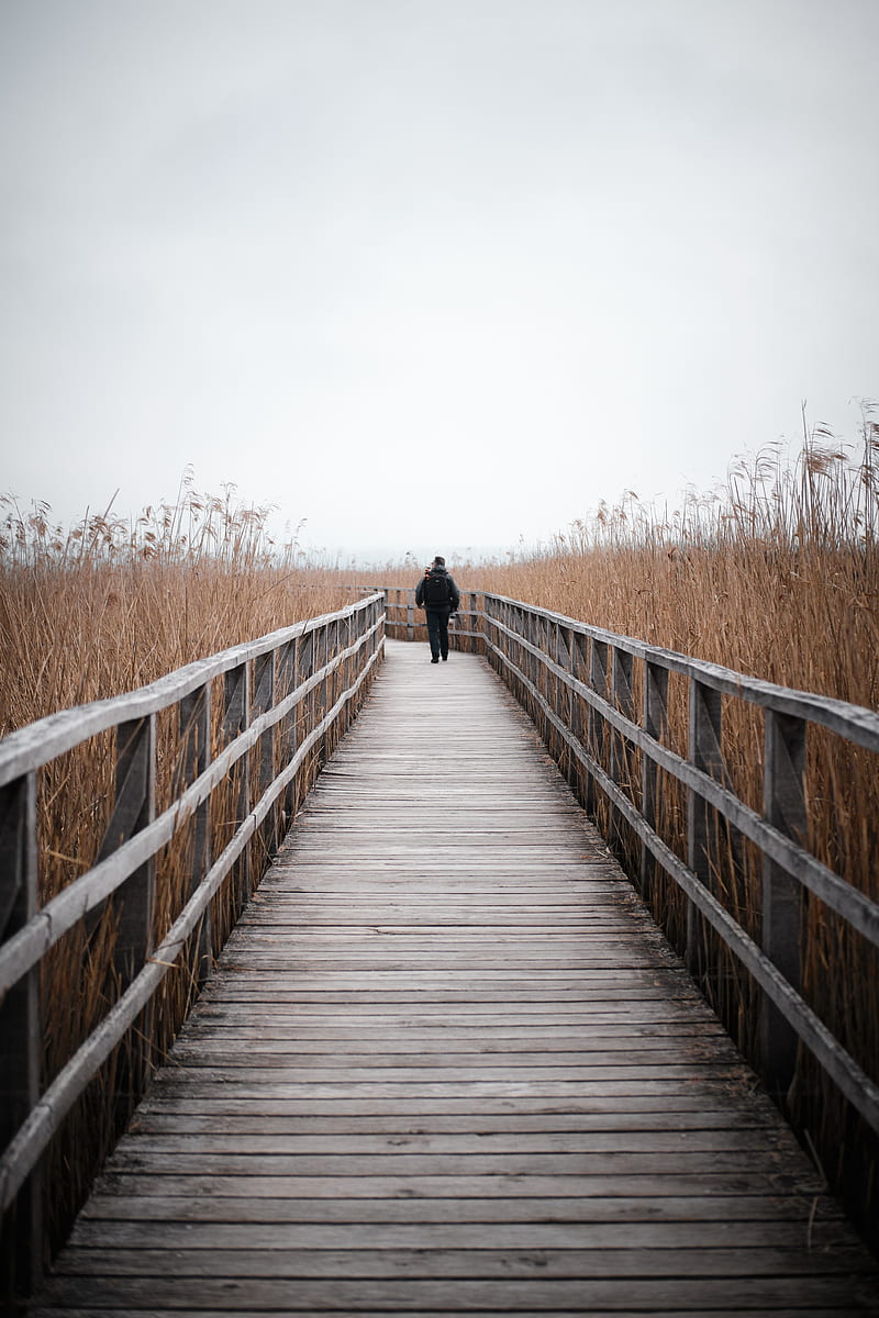 man, alone, bridge, nature, HD phone wallpaper