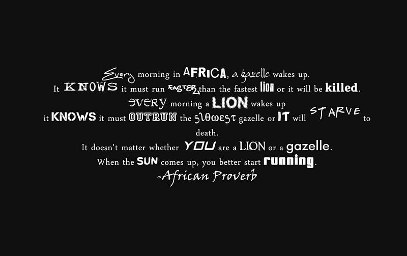 African Proverb, Proverb, African, Lion, Gazelle, Quotes, HD wallpaper
