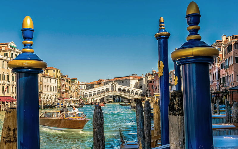 Rialto Bridge, Venice, Grand Canal, summer, morning, landmark, Venice cityscape, Italy, HD wallpaper