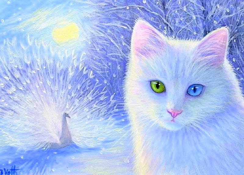 A Winter Dream, moons, draw and paint, holidays, white cat, peacock, love four seasons, xmas and new year, winter, paintings, snow, winter holidays, nature, woodland, animals, HD wallpaper