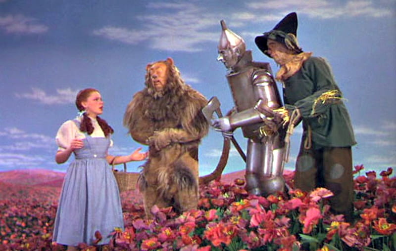 Dorothy In Poppy Field, Sky, Clouds, Wizard Of Oz, Poppies, Field, Dorothy, Movie, HD wallpaper