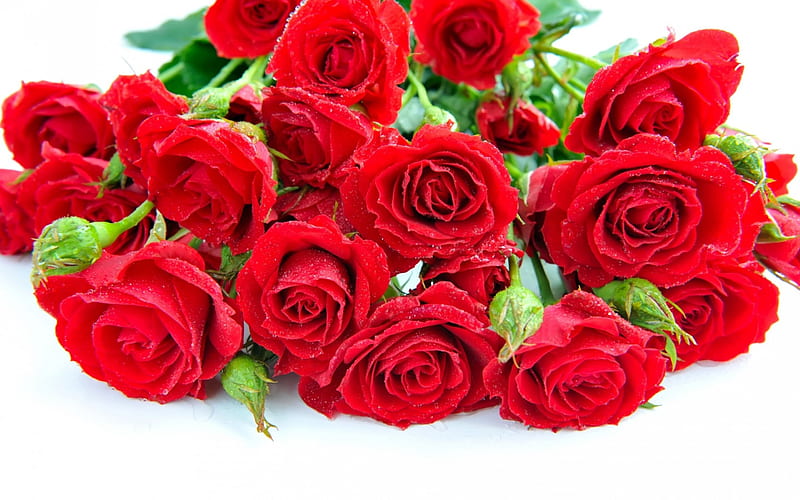 Happy Valentine's Day!, red, green, bouquet, rose, flower, valentine, white, card, HD wallpaper
