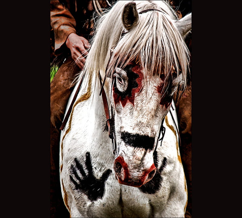 native american war horse tattoo