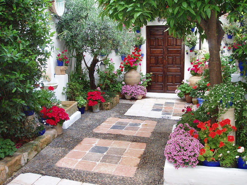 Door, flowery, decorated, plants, HD wallpaper