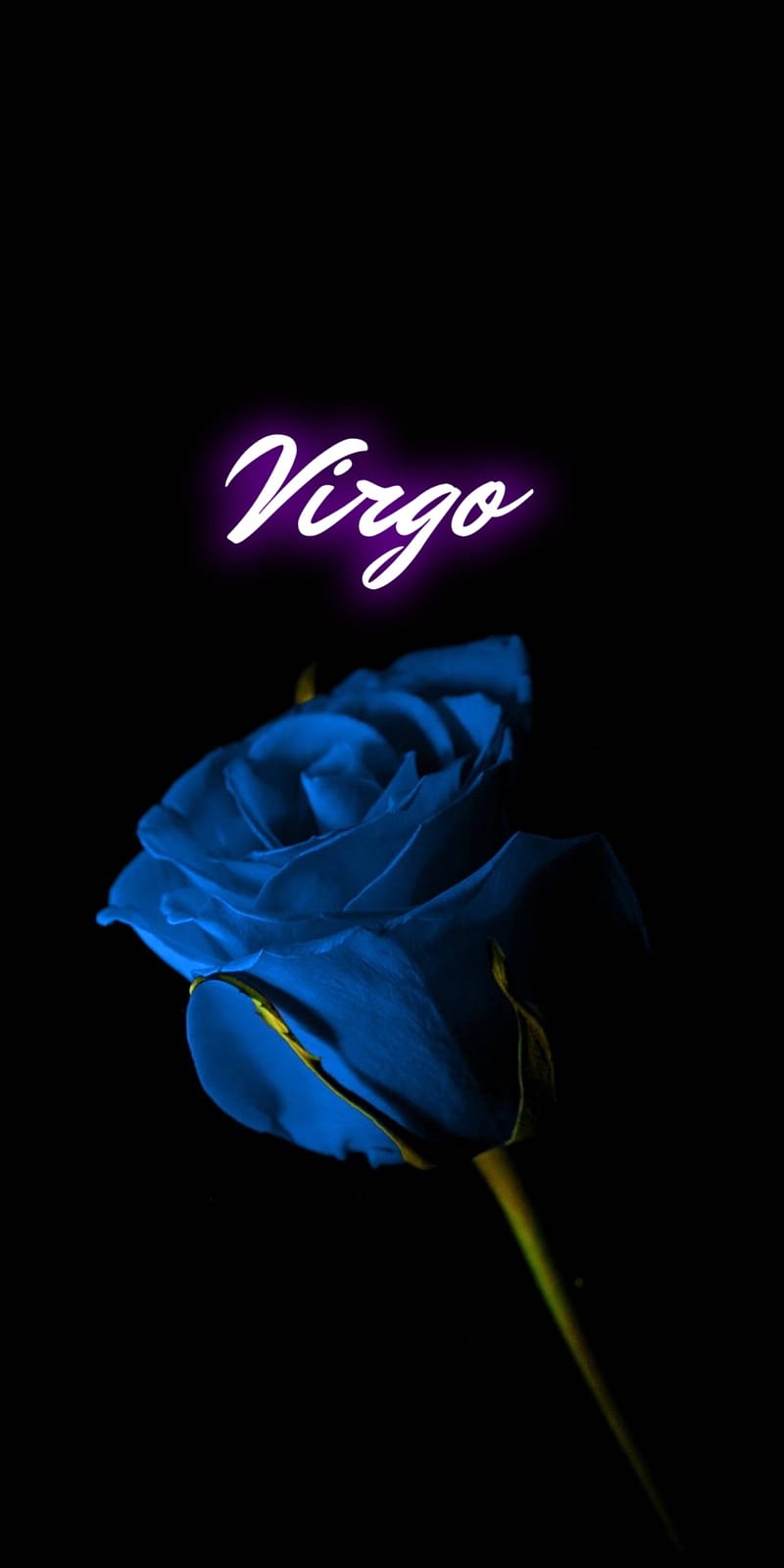 Virgo aesthetic wallpaper  Virgo art Astrology virgo Zodiac signs virgo