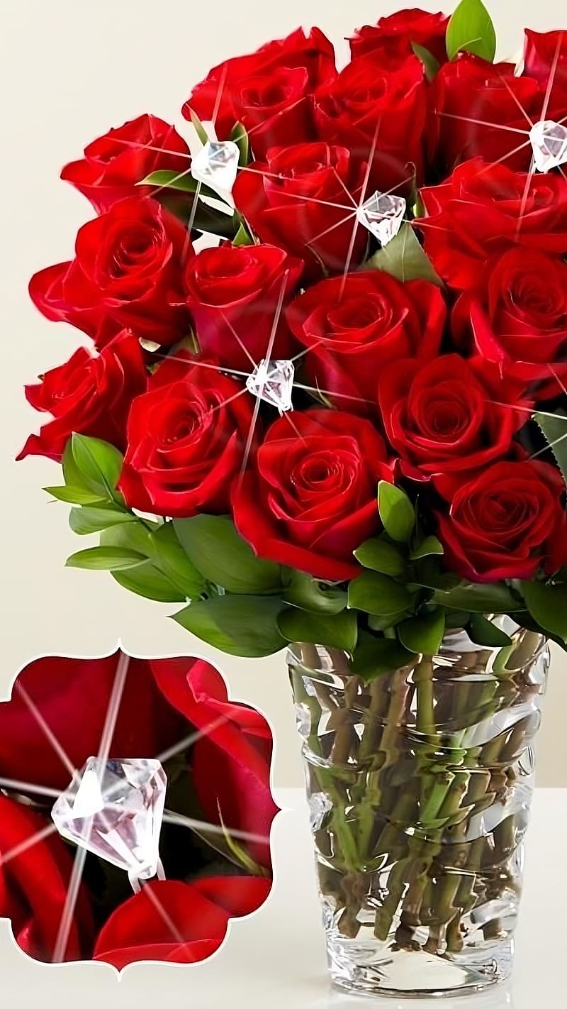 Gulab Ka Phool Wala, rose and diamond, rose, diamond, flower, HD phone wallpaper