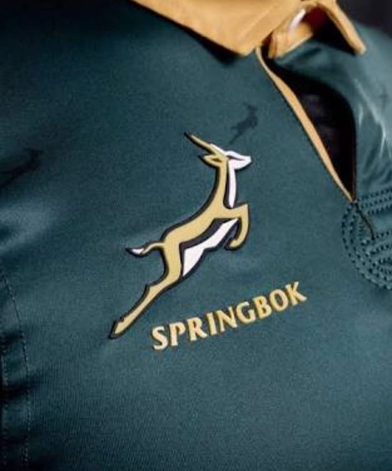 Springbok rugby, sport, HD phone wallpaper