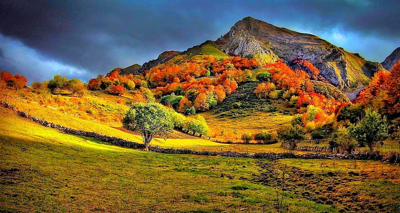 Autumn Light, autumn, grass, bonito, trees, Spain, clouds, mountain, Asturias, stone fence, HD wallpaper