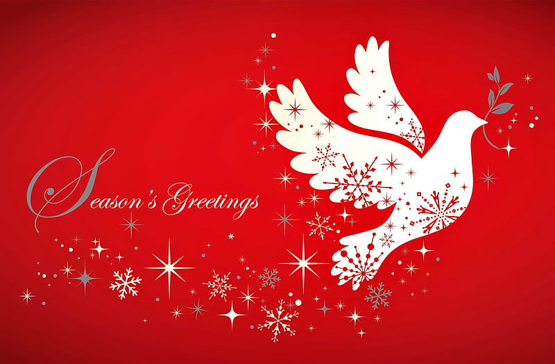 Season greetings, red, pretty, wings, christmas, holiday, background, bonito, peace, winter, greetings, snowflakes, dove, season, HD wallpaper