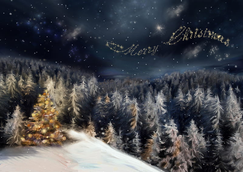 Merry Christmas, stars, forest, christmas, holiday, bonito, trees, sky, lights, winter, tree, nice, cool, snow, drawing, night, HD wallpaper