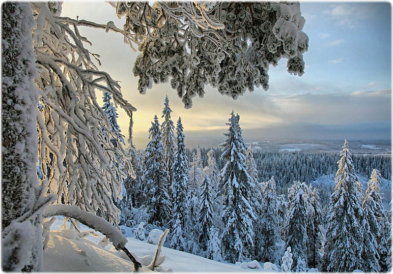 Winter, bonito, magic, clouds, snowy, magic winter, splendor, beauty ...