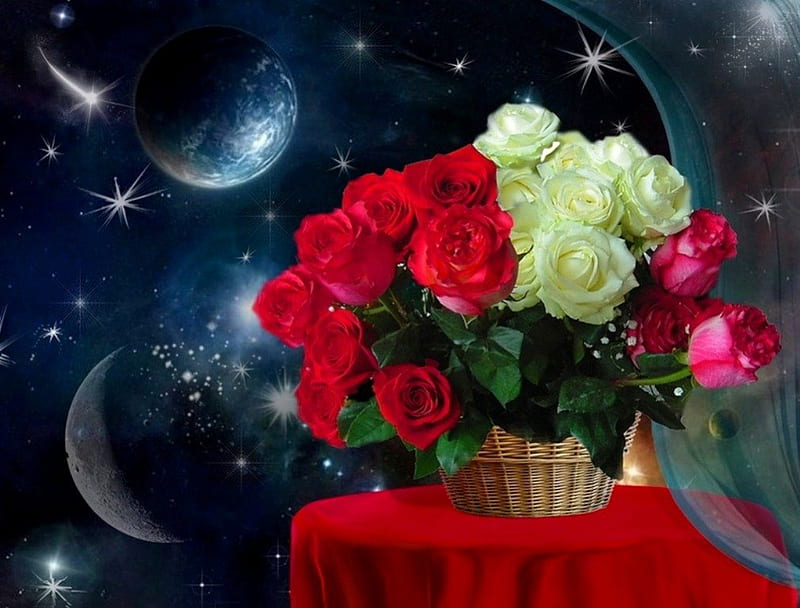  Buenas noches!, rojo, estrellas, mesa, rosas, regalo, naturaleza muerta,  grafía, Fondo de pantalla HD | Peakpx