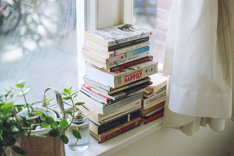 assorted-title book lot beside window, HD wallpaper
