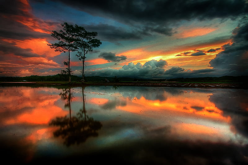 Twin Tree Sunset, colorful, mirror, r, bonito, sunset, reflections, HD wallpaper