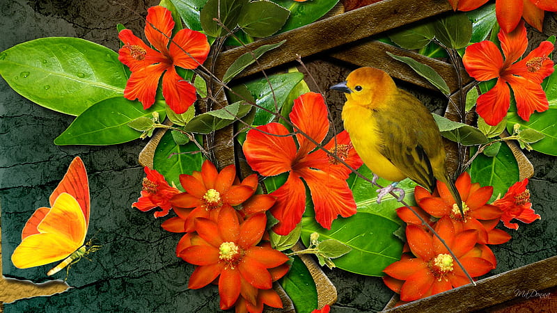Bright Flowers Bird and Butterfly, fall, orange, orange flowers, firefox persona, yellow butterfly, yellow bird, spring, canary, floral, flora, twigs, summer, flowers, goldfinch, HD wallpaper