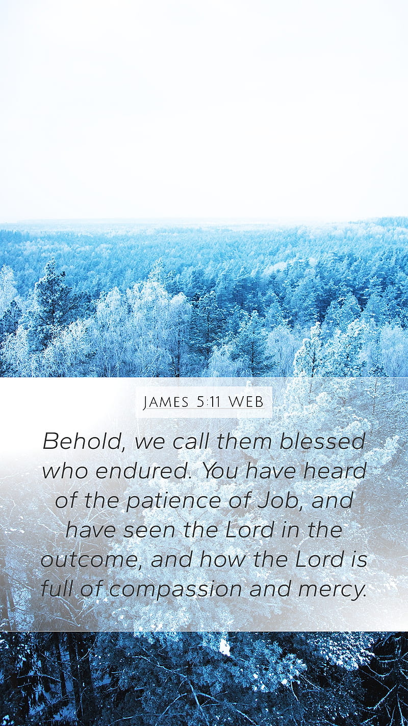 James 5:11 WEB Mobile Phone - Behold, we call them blessed who endured. You, Simple Bible Verse, HD phone wallpaper