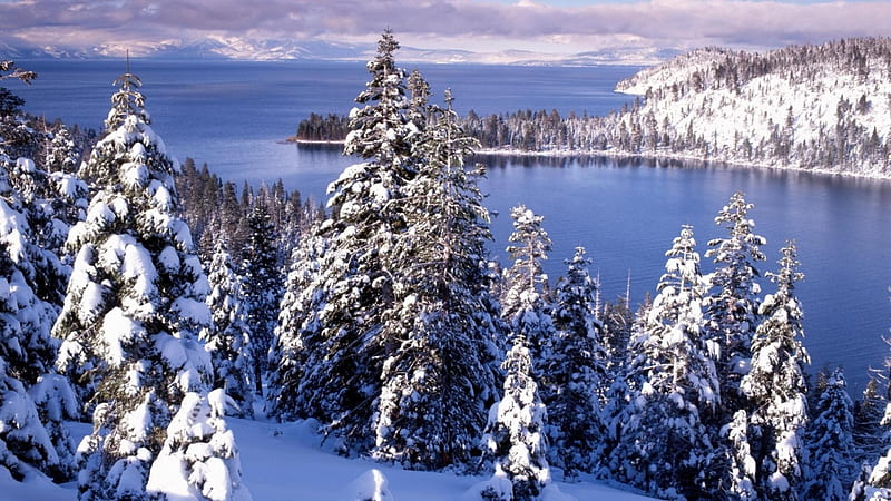 Emerald Bay, Lake Tahoe, California, water, trees, snow, landscape, HD wallpaper