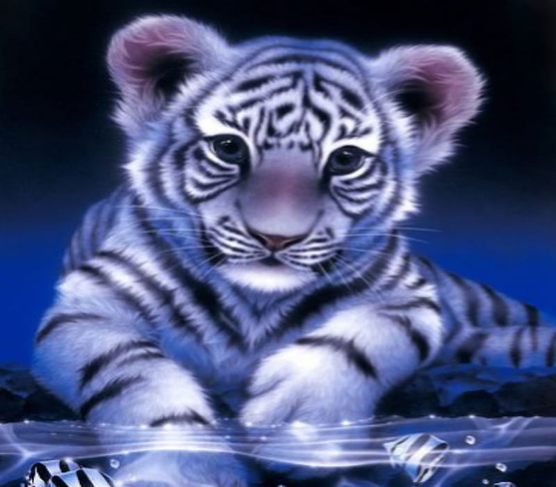 Playing With The Fish, White, Tiger, Cub, Eyes, HD wallpaper