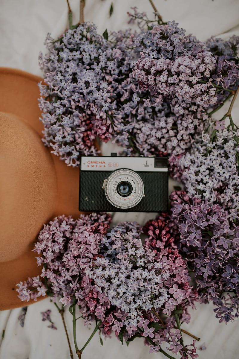 camera, retro, lilac, flowers, hat, HD phone wallpaper