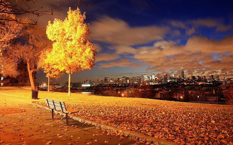 New York Autumn, fall, city, leaves, bench, colors, trees, clouds, HD wallpaper