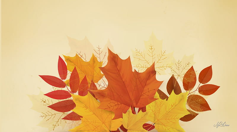Leaves of Fall For You, fall, autumn, aspen, brown, orange, maple, ash, birch, leaves, gold, oak, HD wallpaper