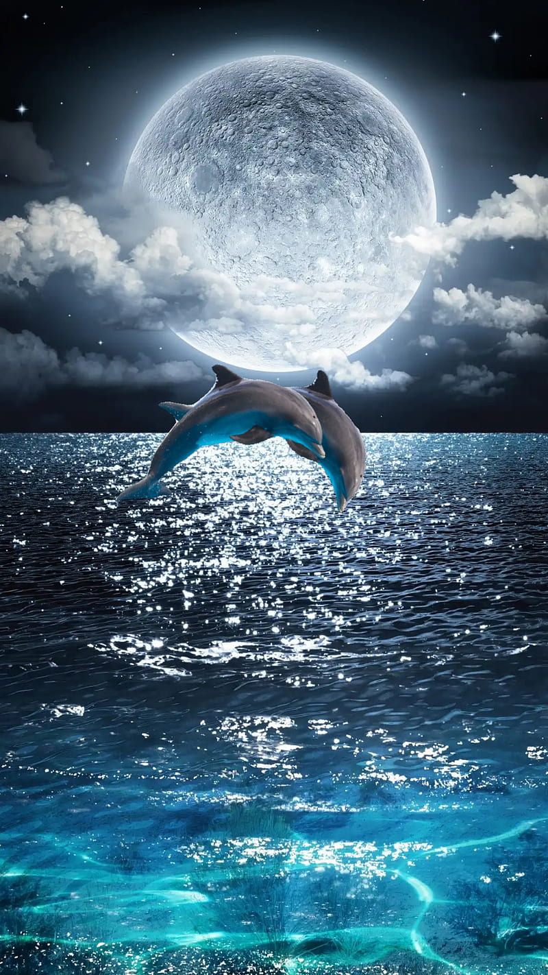Dolphins jumping, blue, fish, galaxy, moon, moonlight, ocean, sea, stars, swimming, HD phone wallpaper