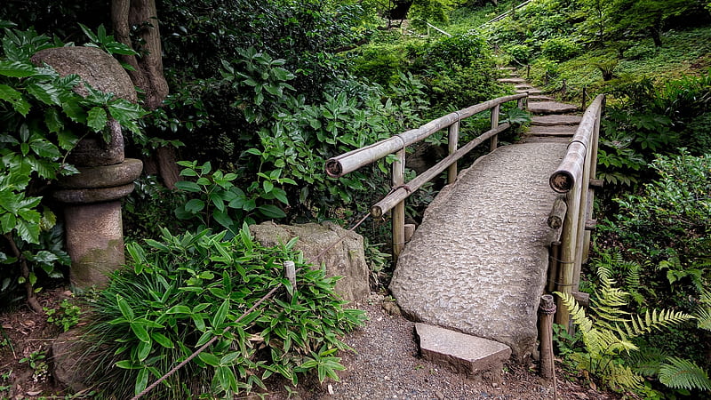 Park Bridge in Yokohama, japan, bridge, plants, gree, nature, trees, HD wallpaper